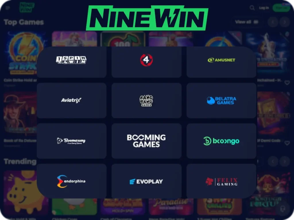 NineWIn Providers